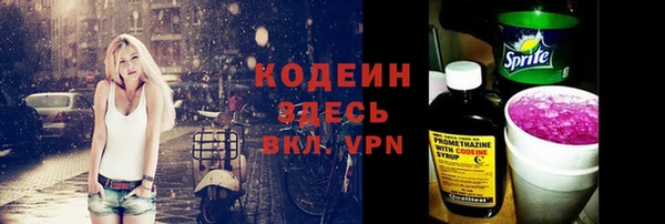 стаф Кулебаки