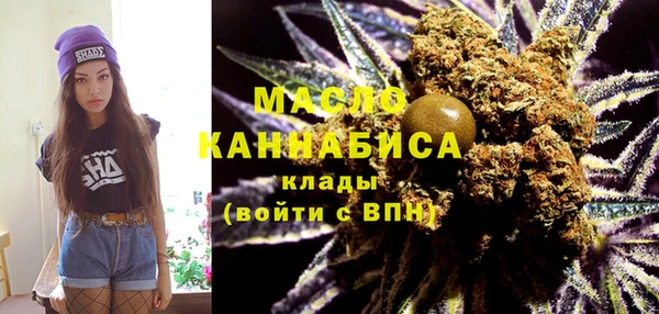 стаф Кулебаки