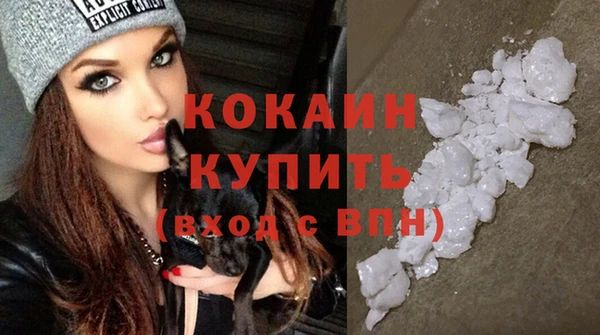 стаф Кулебаки
