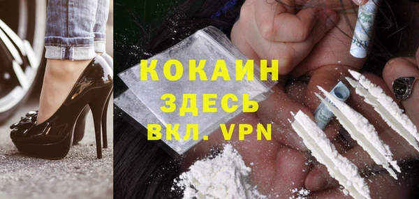 мдпв Кукмор