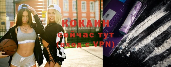 мдпв Кукмор