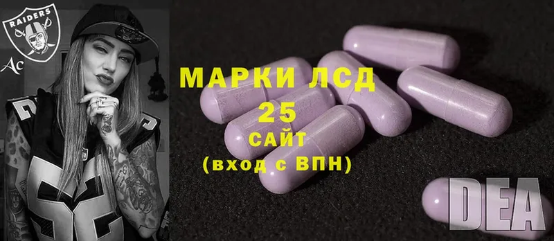 продажа наркотиков  Пудож  ЛСД экстази ecstasy 